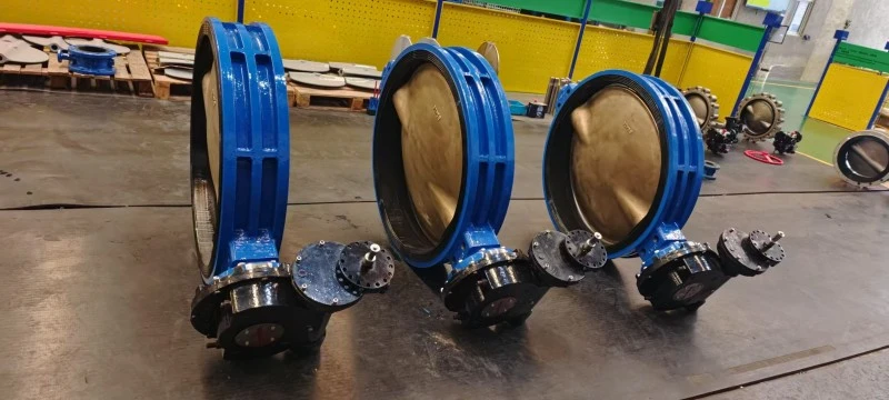 Al Bronze Flange Butterfly Valve